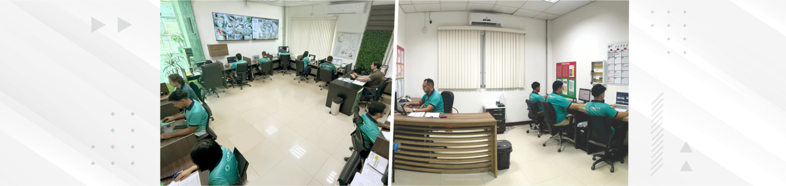 portfólio desktop estrutura2